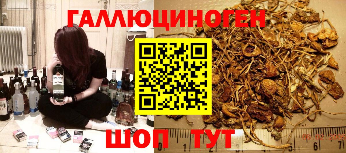 Железногорск  Галлюциногенные грибы GOLDEN TEACHER  Вход с VPN 